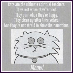 Cats as Ultimate Spiritual Teachers